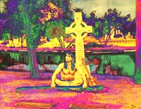 Coyote In A Graveyard by The Hippy Coyote